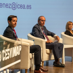 IBIS_IBERIA_23_key_players_sector_asegurador_03