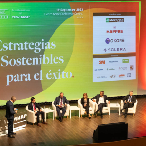 IBIS_IBERIA_23_key_players_sector_asegurador_06
