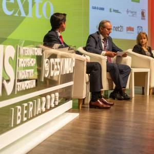IBIS_IBERIA_23_key_players_sector_asegurador_07
