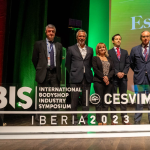 IBIS_IBERIA_23_key_players_sector_asegurador_15