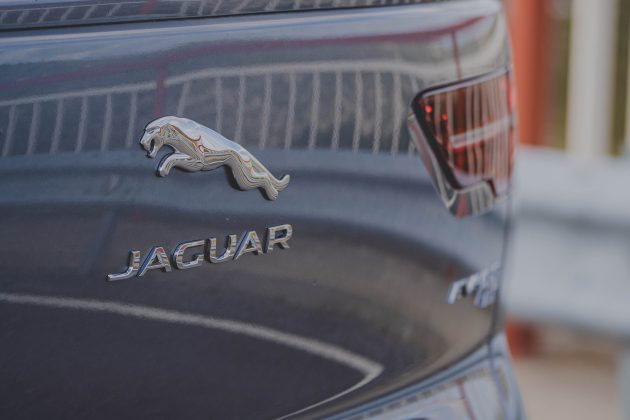 Detalle insignia Jaguar